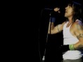 /album/fotogaleria/a14-jpg/